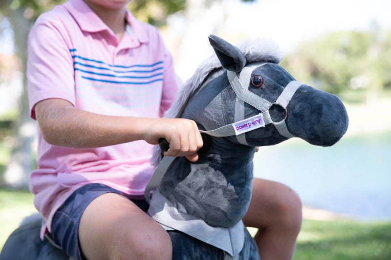 Close-up of child holding the reins of a gray Power Pony.